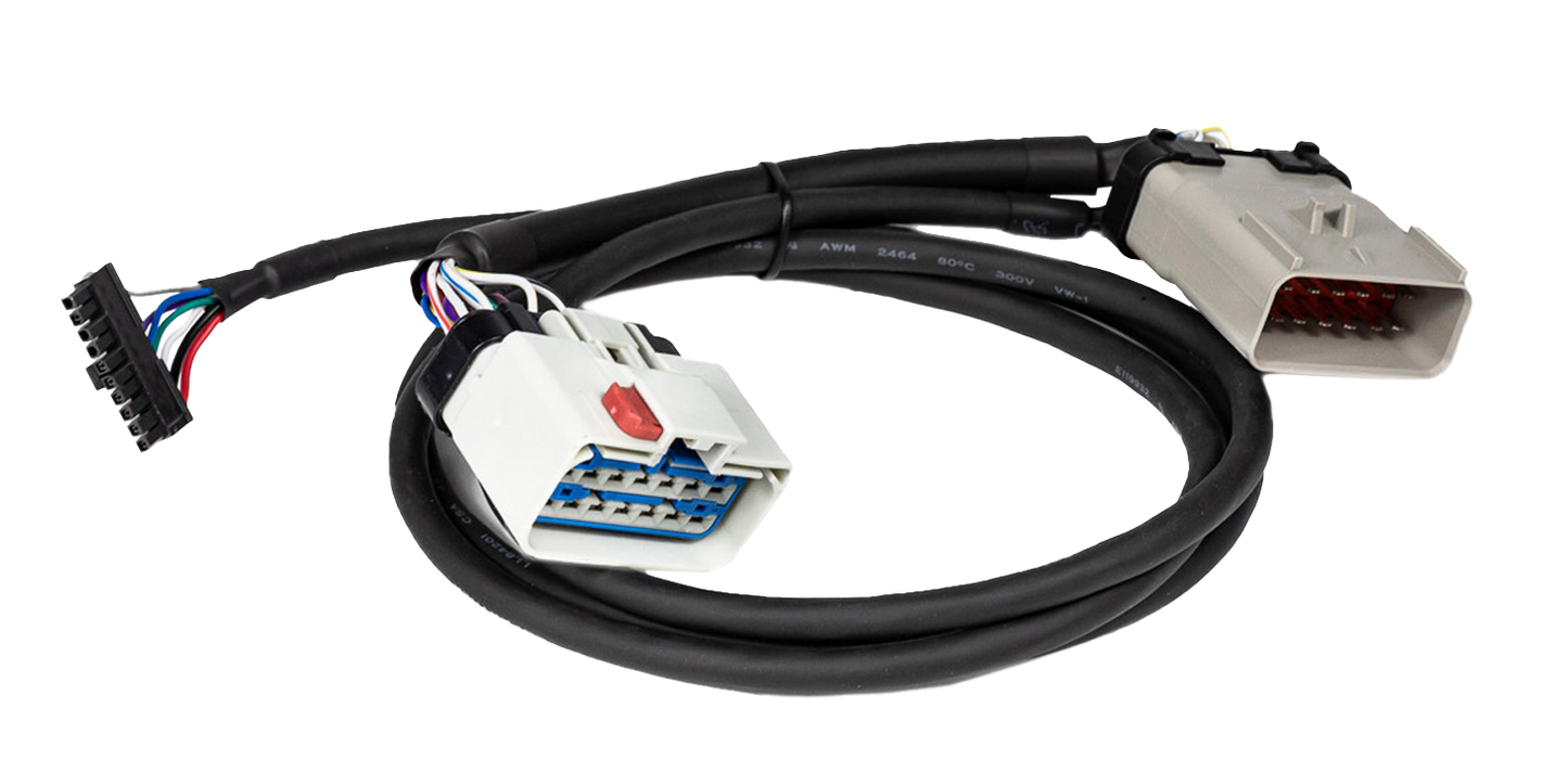 Y-Splitter Cable, 14-Pin to 14-Pin for PT-30