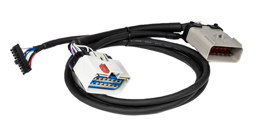 Y-Splitter Cable, 14-Pin to 14-Pin for PT-30